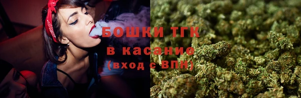 гидра Пестово
