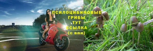 каннабис Пересвет