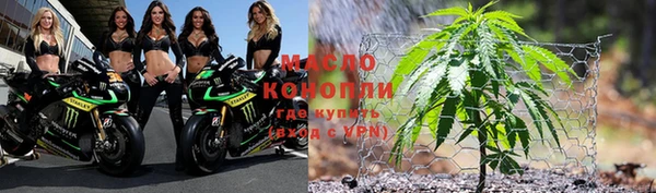 гидра Пестово