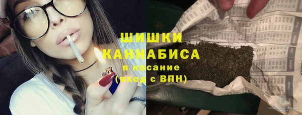 гидра Пестово